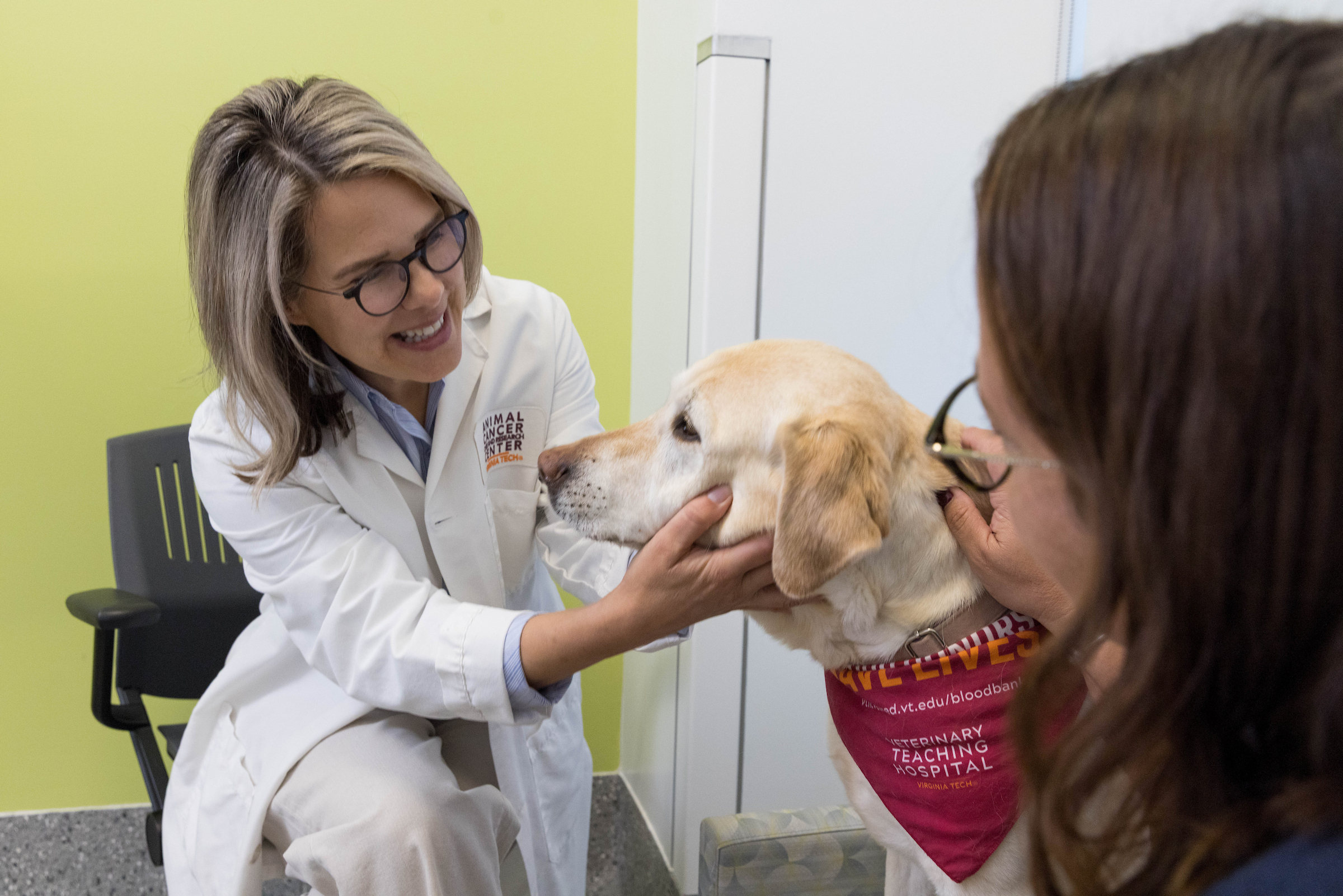 Veterinary professionals examining a dog at the Animal Cancer Care and Research Center.