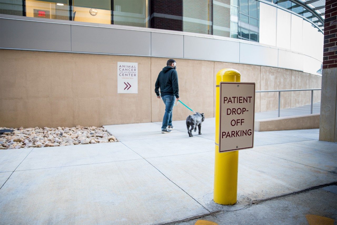 Animal Cancer Care and Research Center Patient Drop-Off Parking
