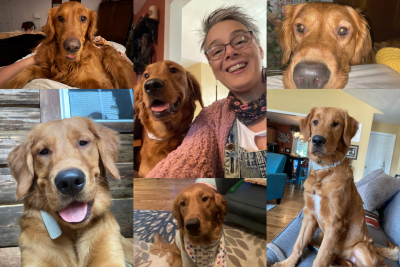 A collage of photos of Ruby Mae the Golden Retriever