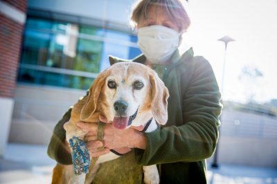 Judith Hixson holds her beagle, Star, outside the Virginia Tech Animal Cancer Care and Research Center (ACCRC) in Roanoke.